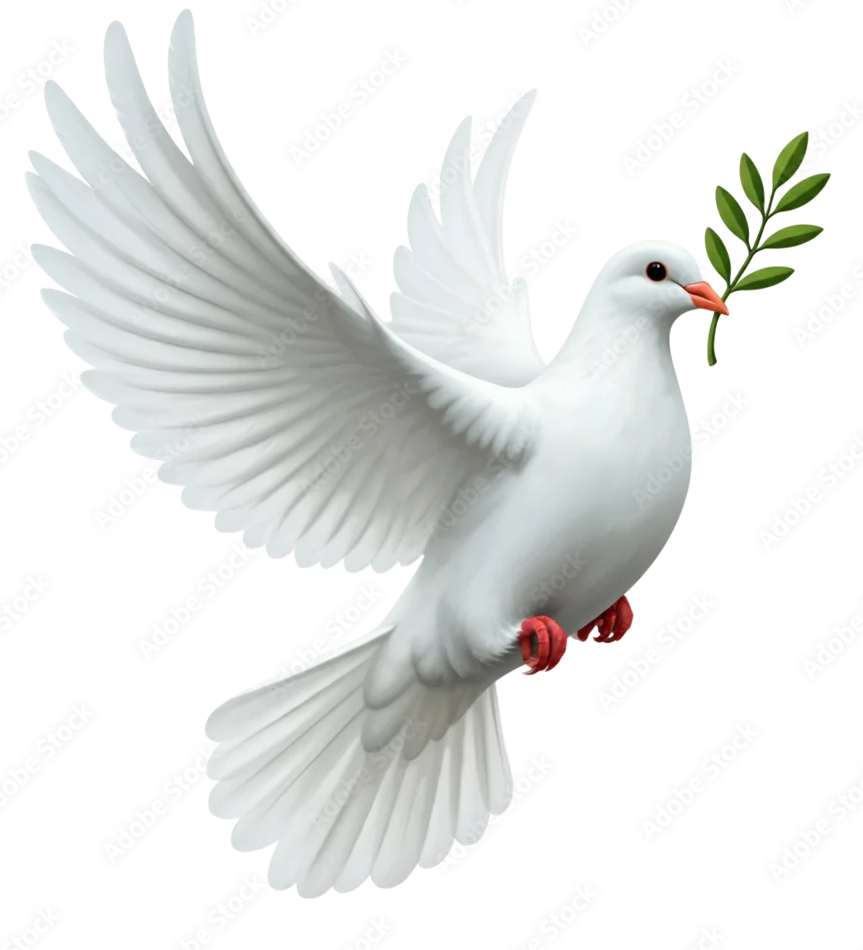 Dove